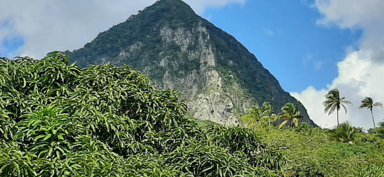 Kaye Mango Villa Soufriere Ngoại thất bức ảnh